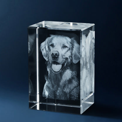 Cubes